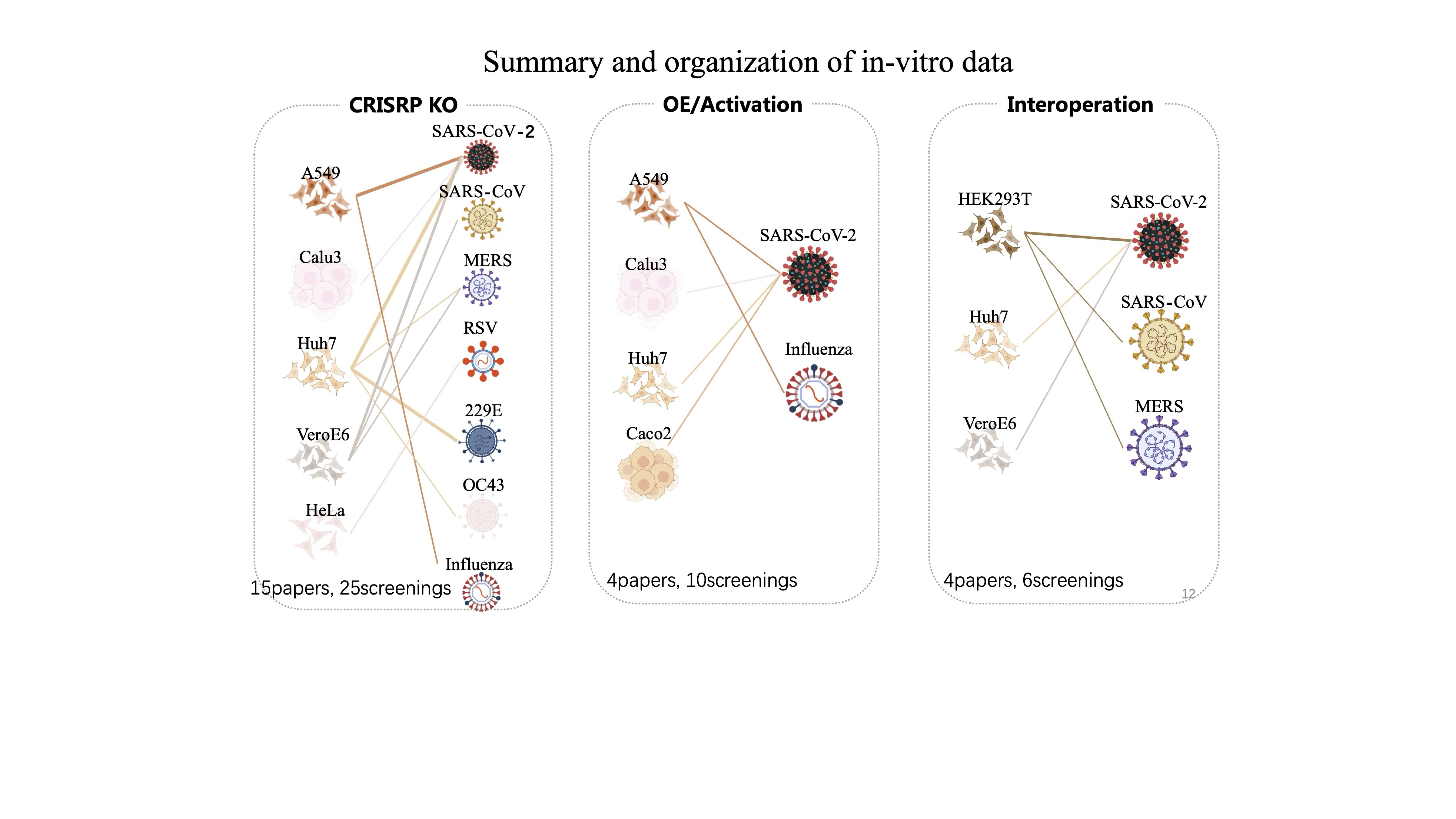 Scheme Image